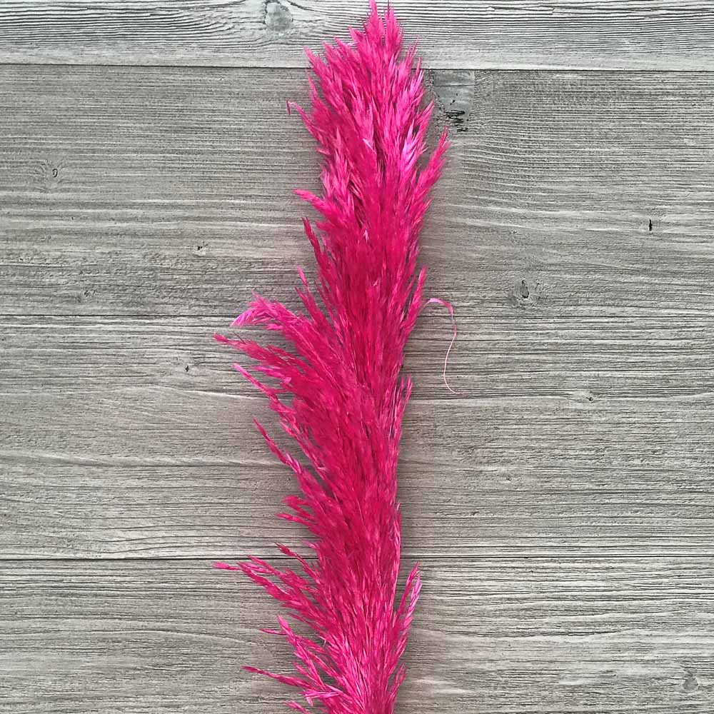 Pampasgras getrocknet & gefärbt | 1 Stiel Pink